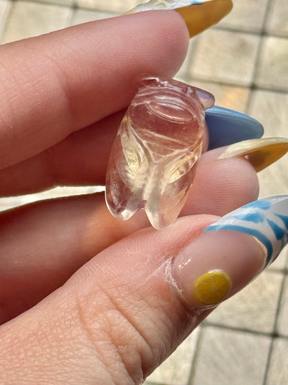 1 intuitive fluorite mini Cicada