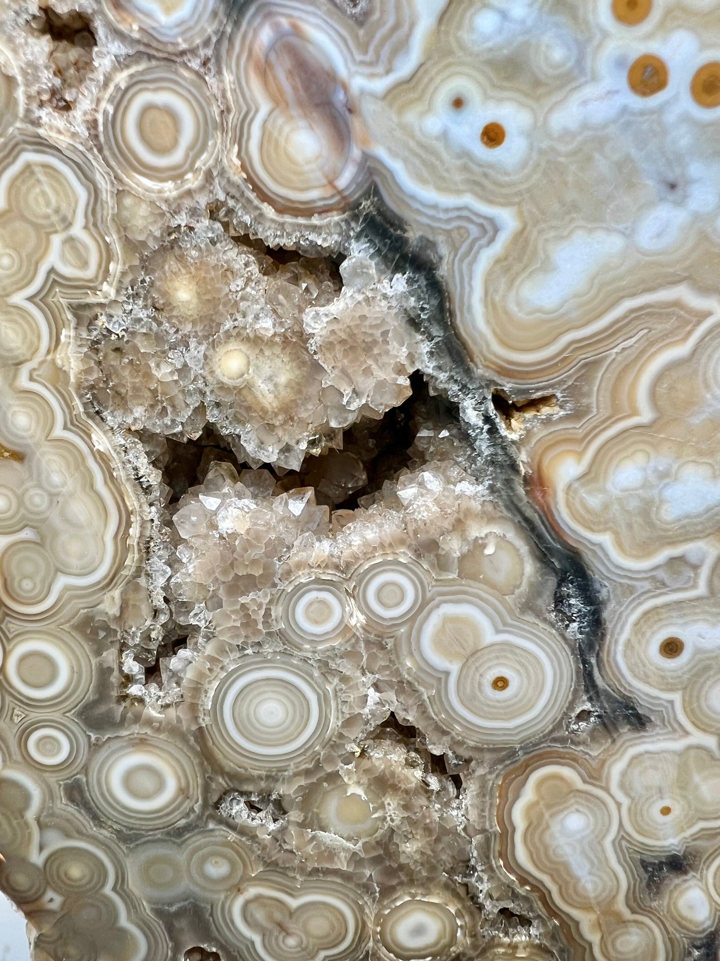 AAA yellow druzy orbicular ocean jasper slab from Madagascar