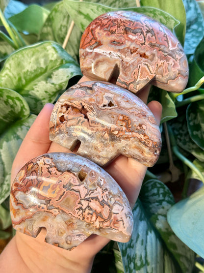 1 LG intuitive pink crazy lace agate bear from Indonesia