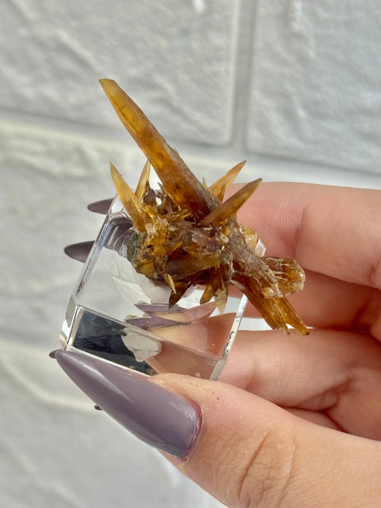 You pick! Amber calcite specimens from Vietnam