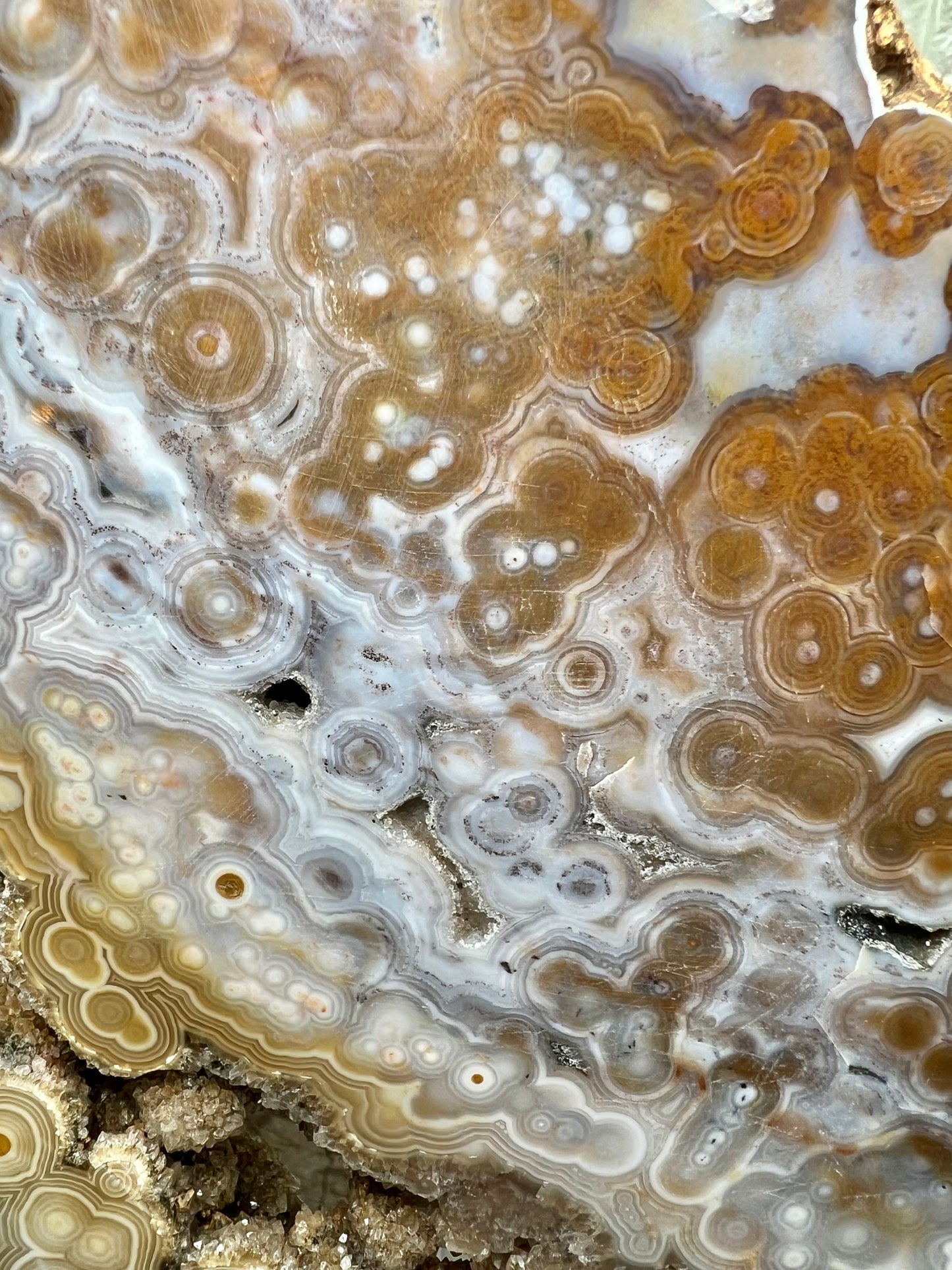 AAA yellow druzy orbicular ocean jasper slab from Madagascar