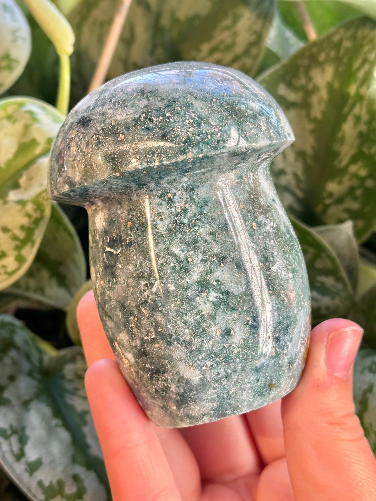 XL teal sea jasper mushroom F