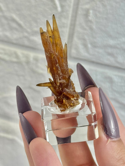 You pick! Amber calcite specimens from Vietnam