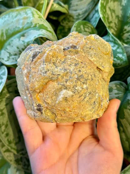 Druzy agate Freeform from Brazil A