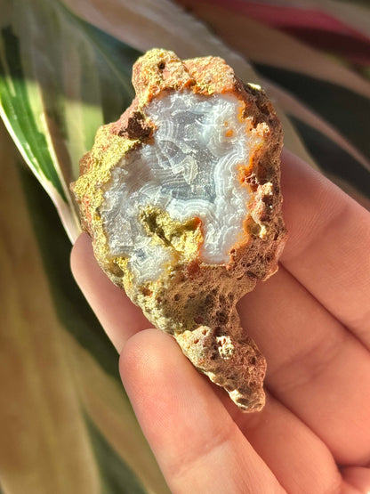 Orange/white laguna agate U