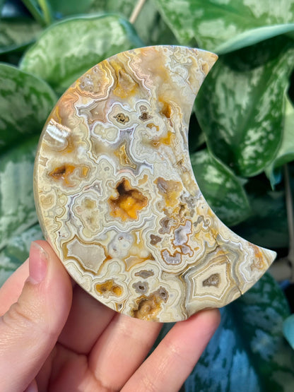 1 intuitive yellow crazy lace agate moon from Indonesia