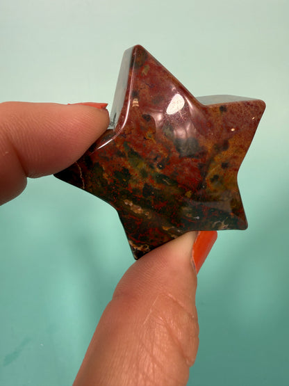 1 colorful sea jasper star
