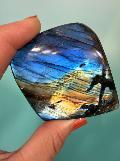Electric blue labradorite Freeform W