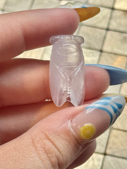 1 intuitive fluorite mini Cicada