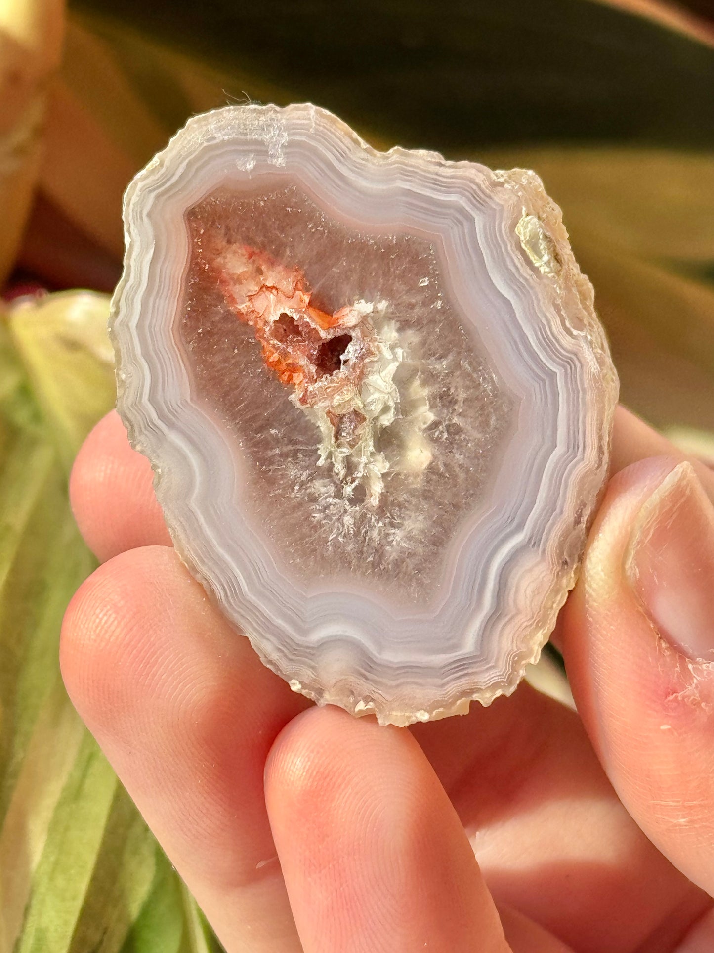 Purple/red laguna agate NN