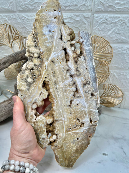 AAA yellow druzy orbicular ocean jasper slab from Madagascar