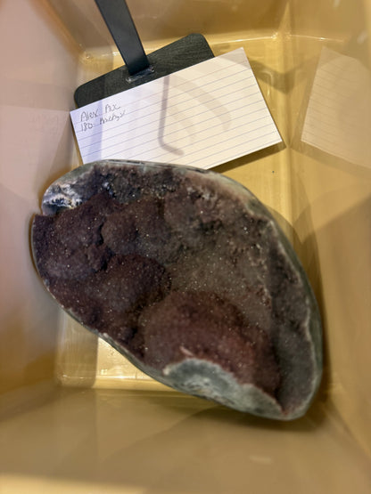 Alex.auc- new