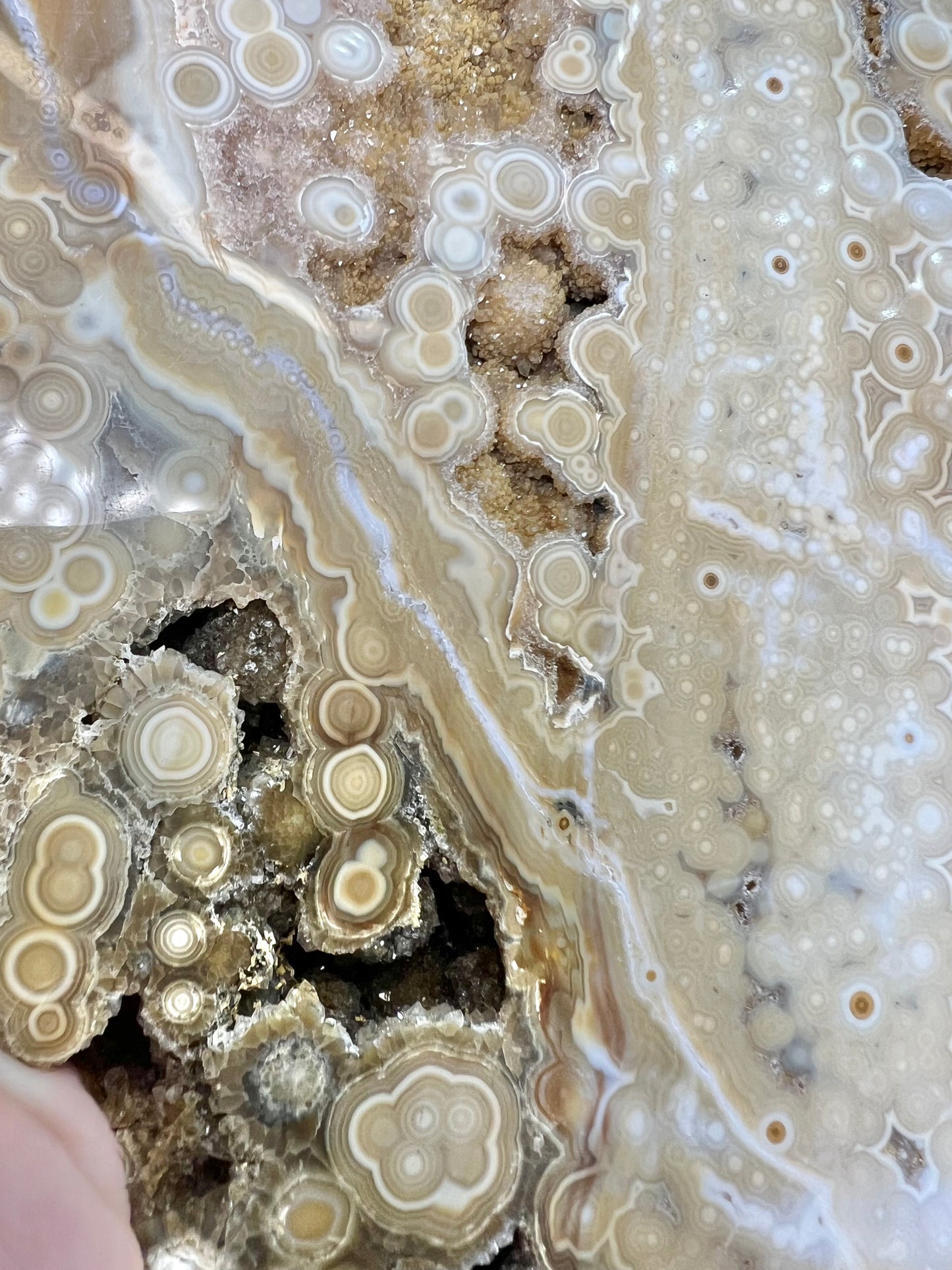 AAA yellow druzy orbicular ocean jasper slab from Madagascar