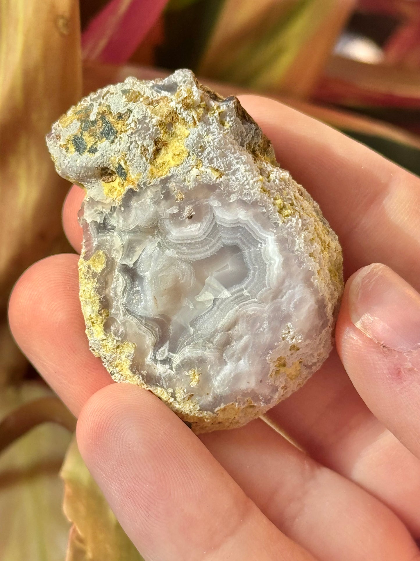 Druzy white/gray laguna agate RR