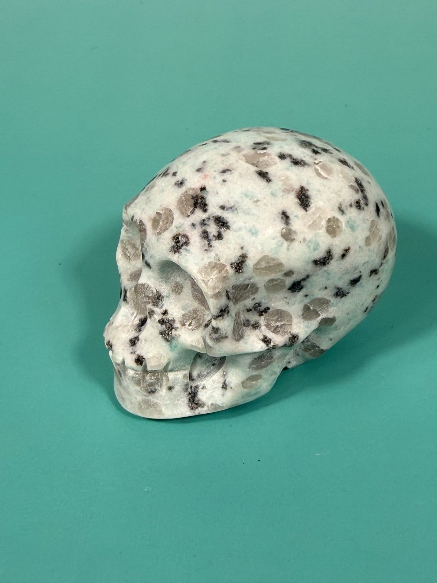Kiwi jasper skull