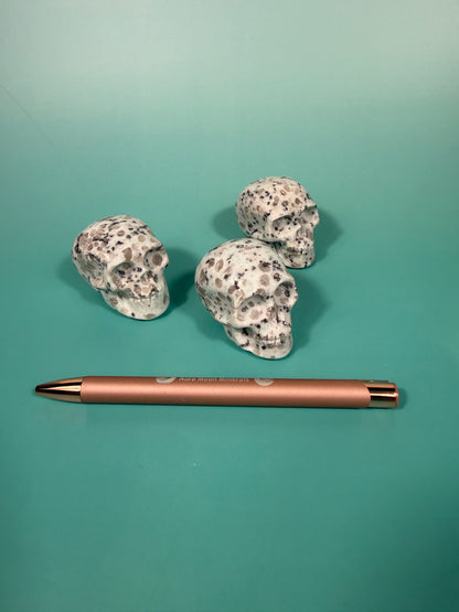 Kiwi jasper skull