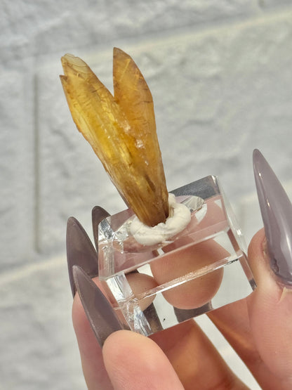 You pick! Incredible amber calcite specimens from Vietnam