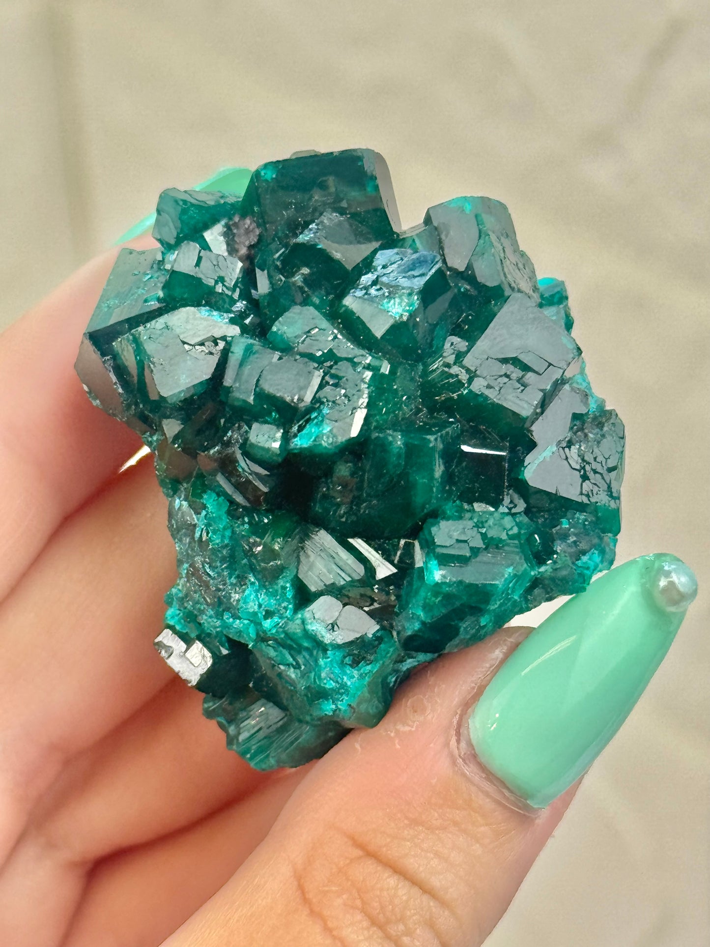 You pick! Insane high-grade dioptase specimens from DRC