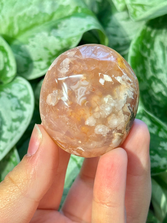 Flower agate palm stone from Madagascar