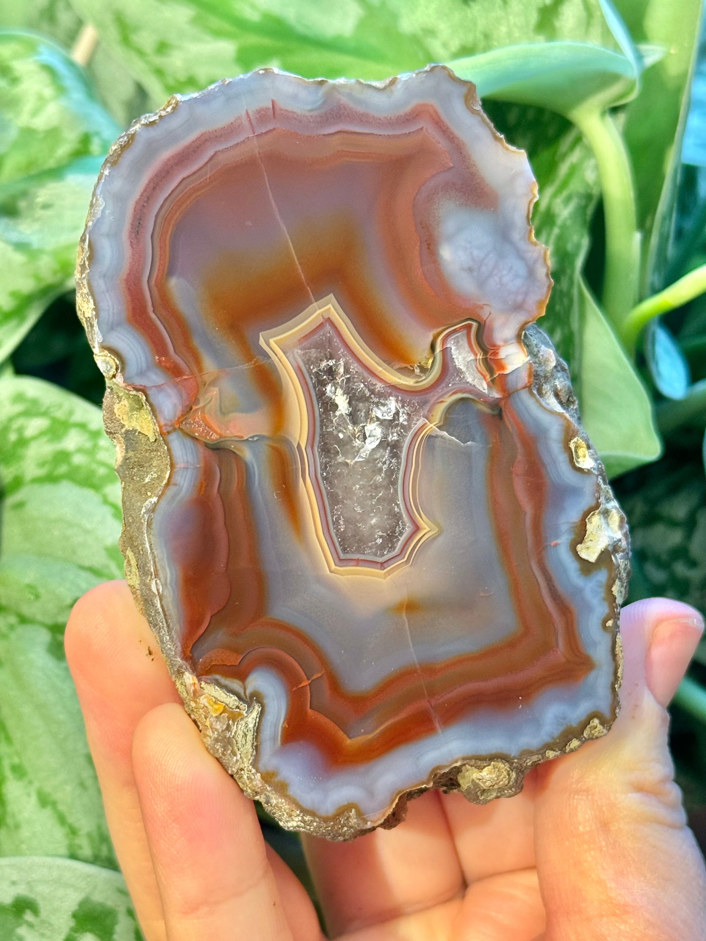 Insane high quality banded Condor agate from Argentina B