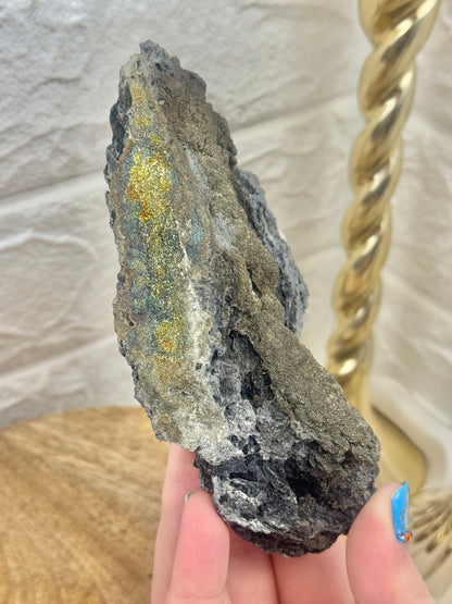 Rainbow marcasite included fossilized wood from Turkey G