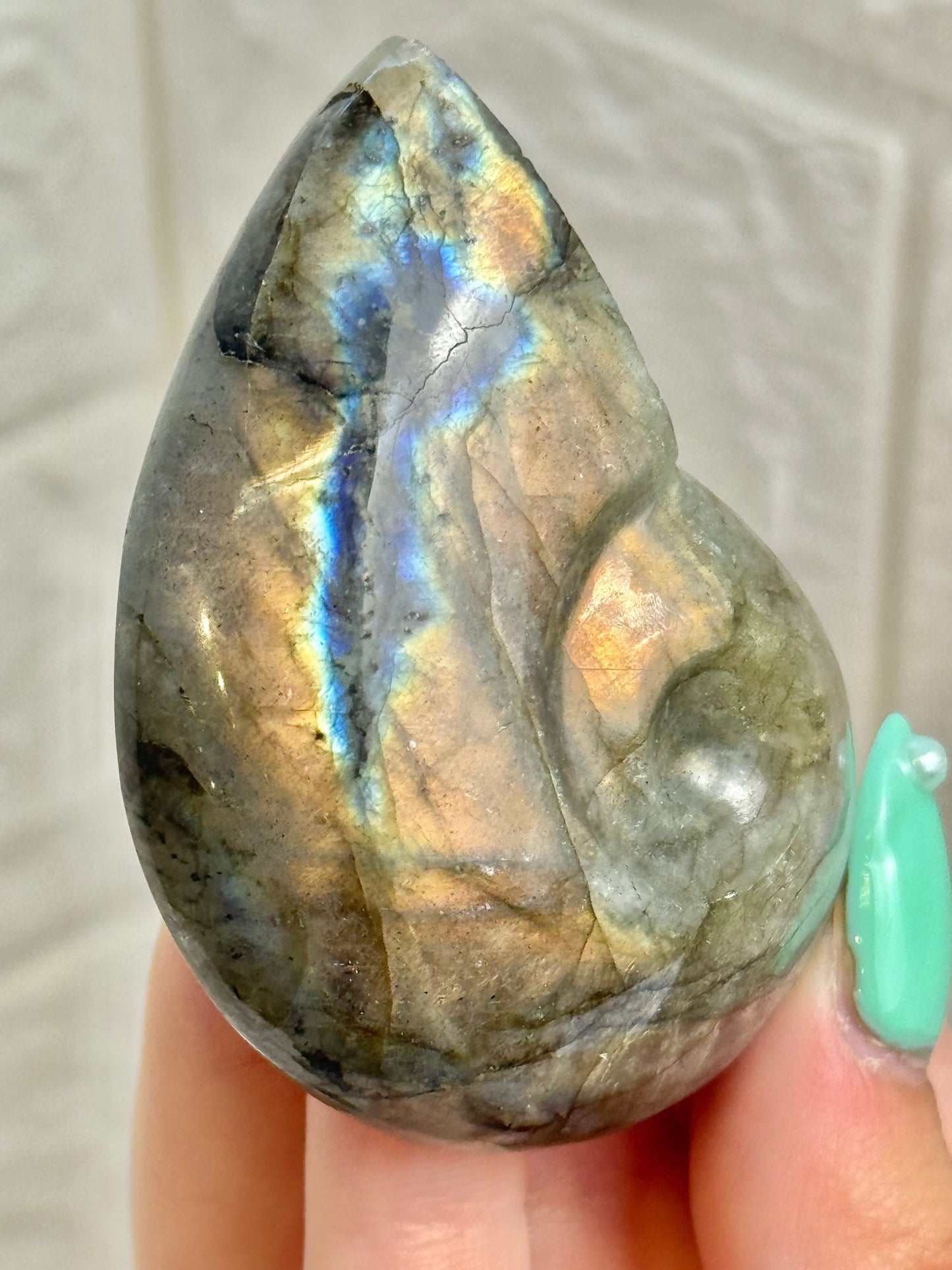 1 labradorite nautilus shell