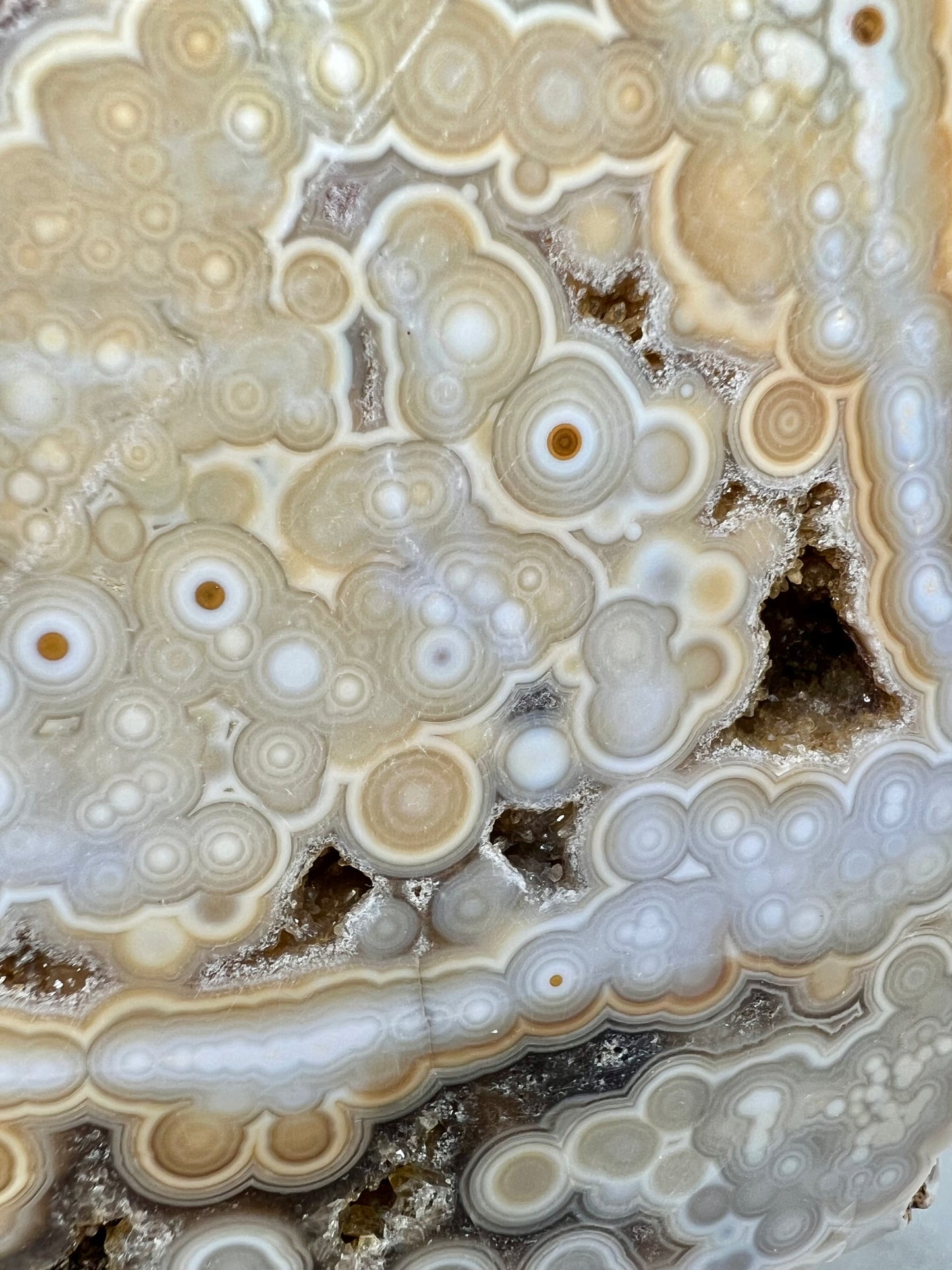 AAA yellow druzy orbicular ocean jasper slab from Madagascar