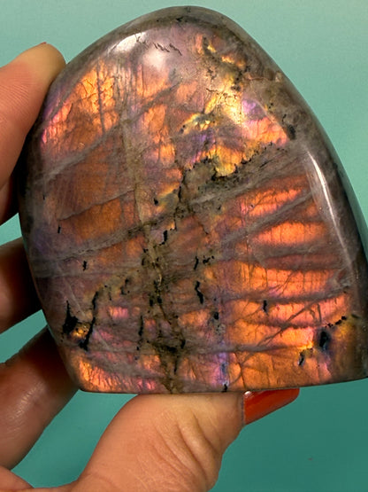 Hot pink flash labradorite Q