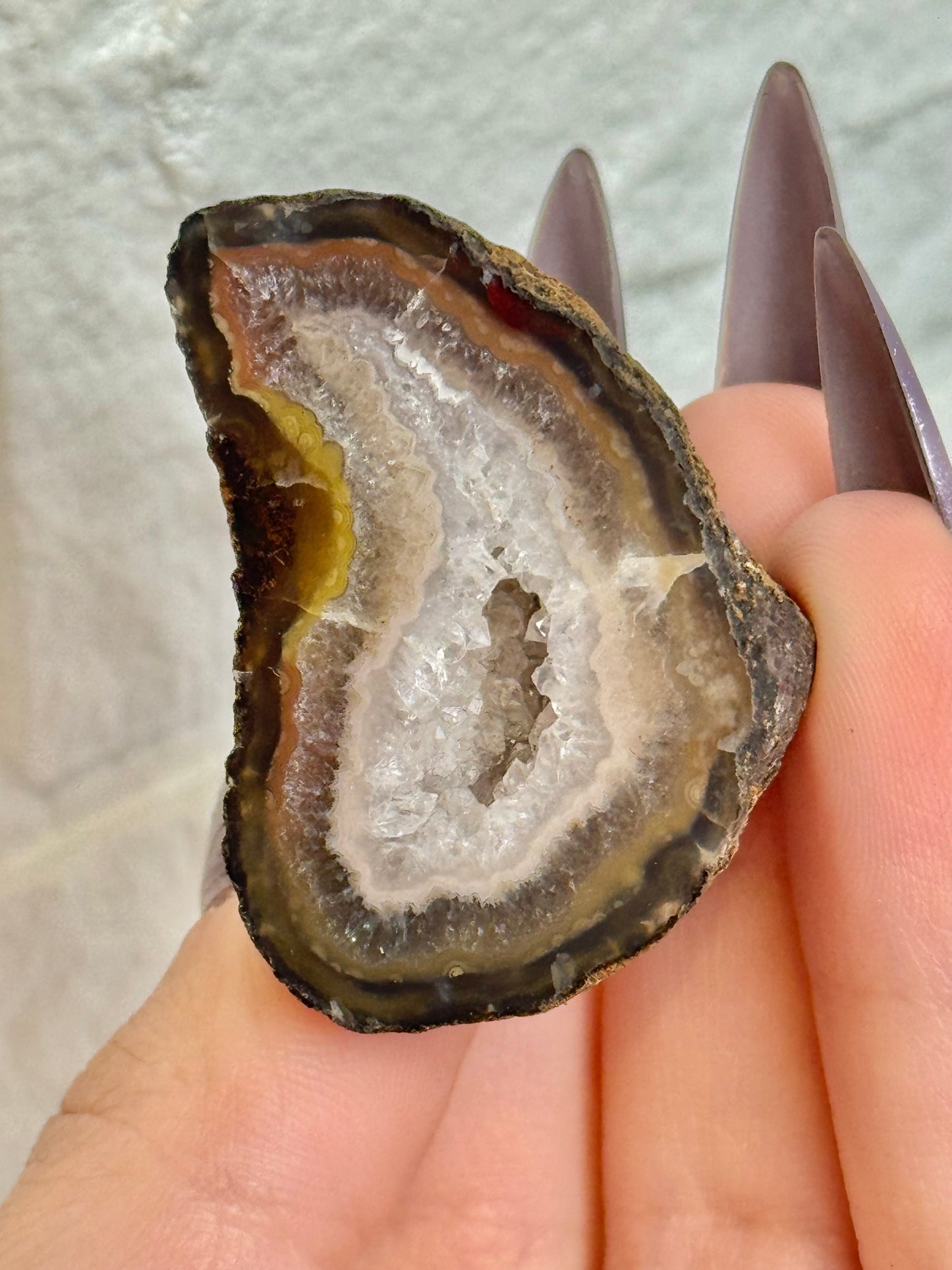 You pick! Beautiful fall toned Laguna agates from Chihuahua Mexico