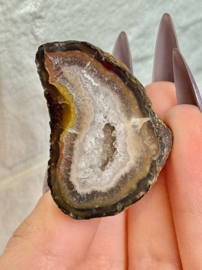 You pick! Beautiful fall toned Laguna agates from Chihuahua Mexico