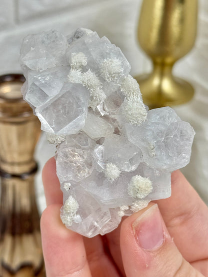 You pick! Pale rose apophyllite with mordenite from India