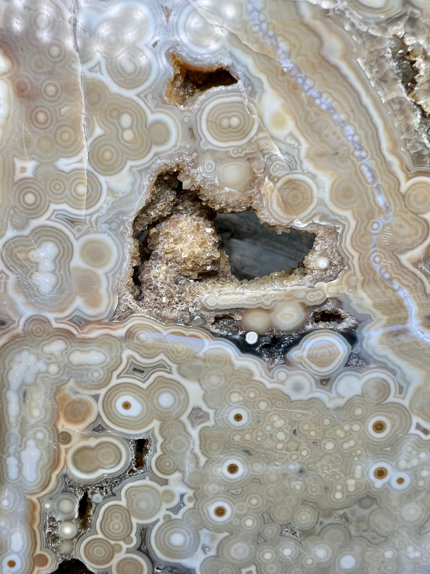 AAA yellow druzy orbicular ocean jasper slab from Madagascar