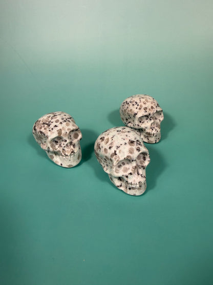 Kiwi jasper skull