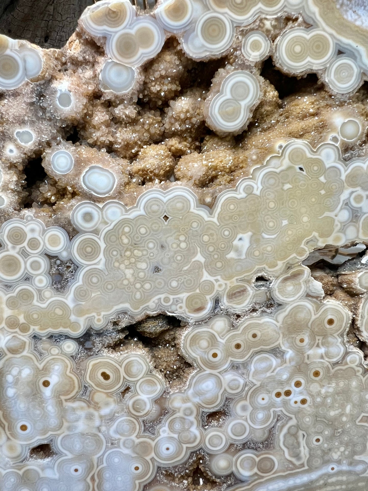 AAA yellow druzy orbicular ocean jasper slab from Madagascar