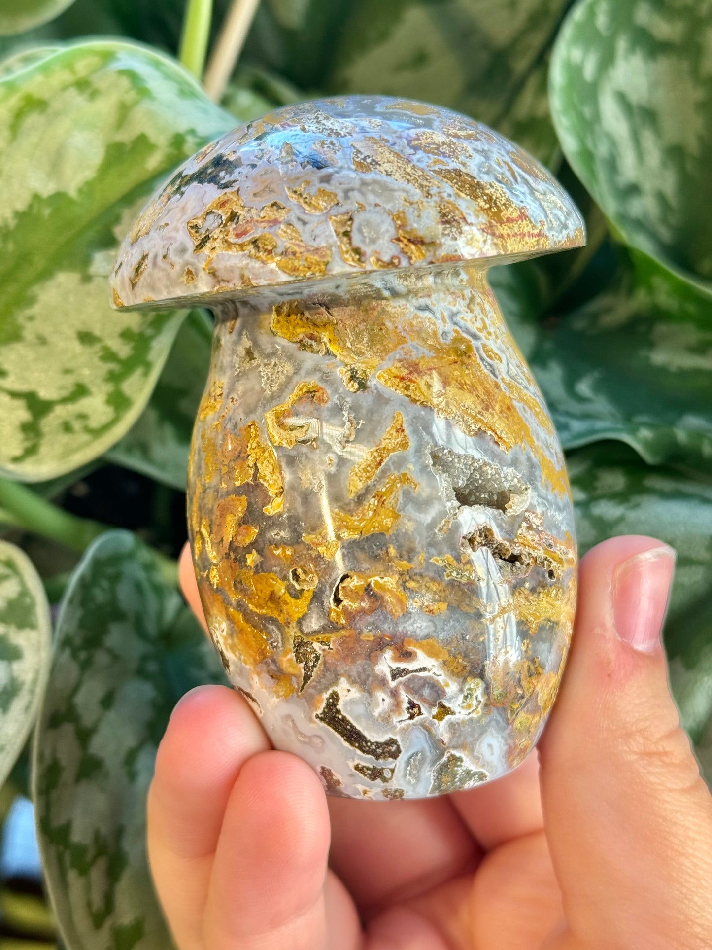 Stunning yellow/blue cosmic jasper mushroom T