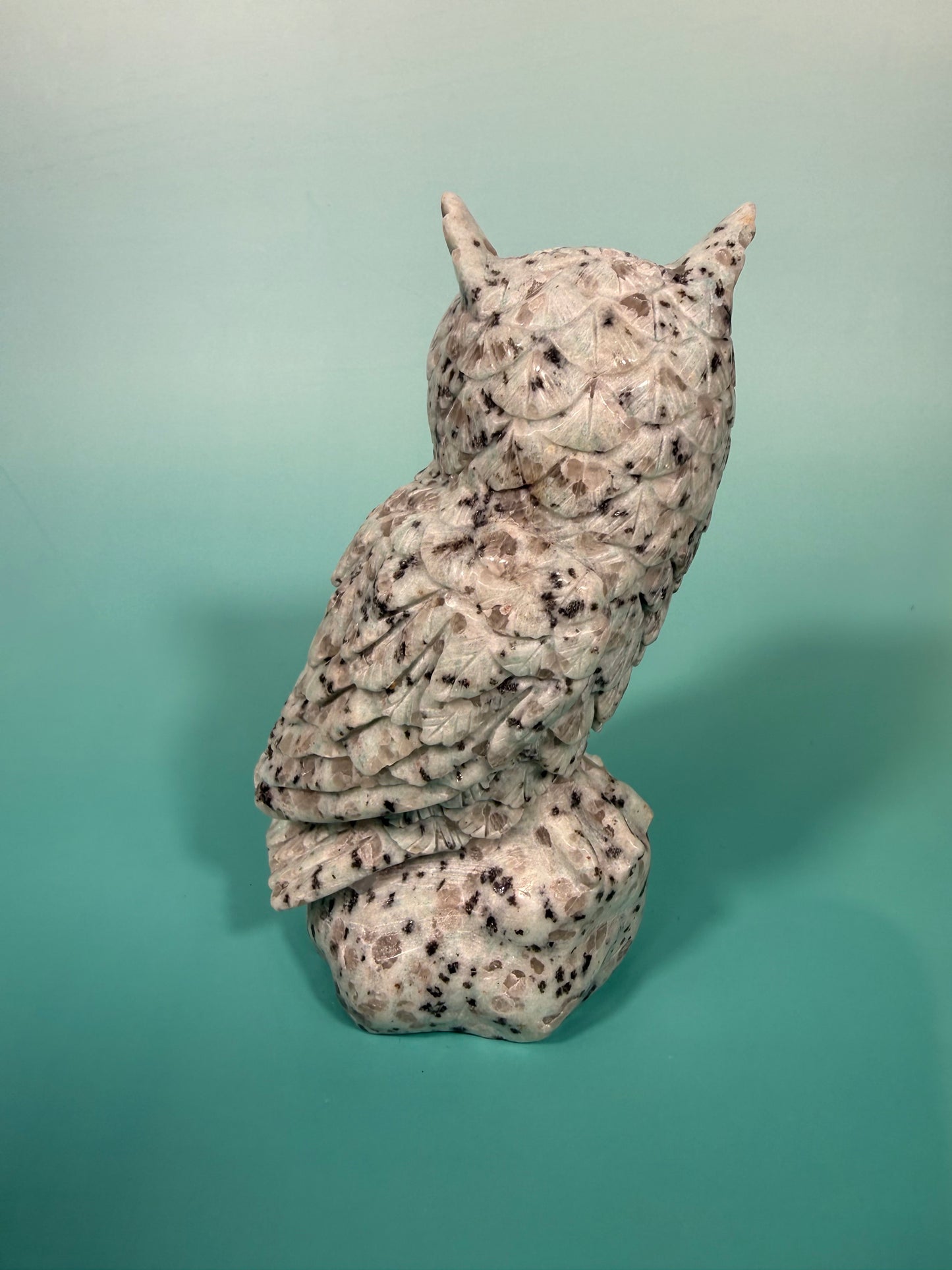 LG kiwi jasper owl A