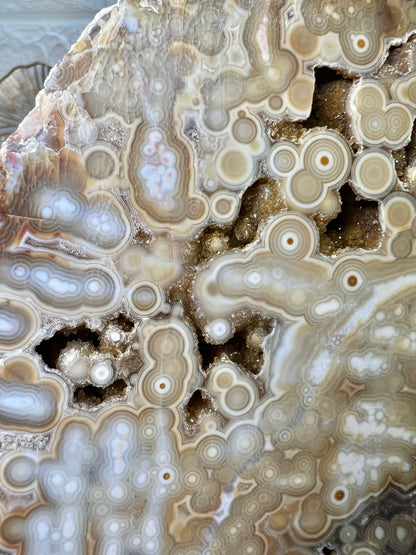 AAA yellow druzy orbicular ocean jasper slab from Madagascar