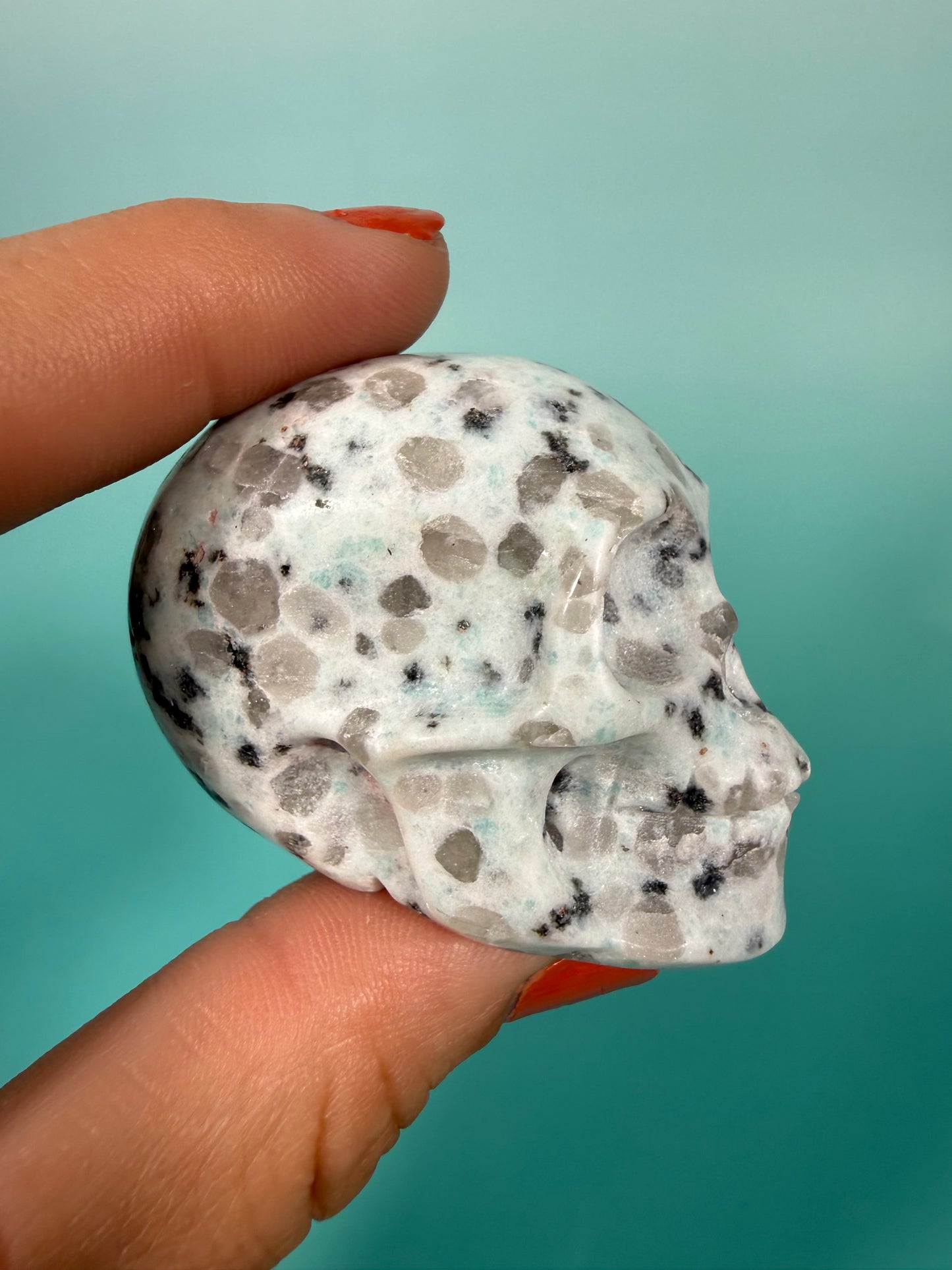 Kiwi jasper skull