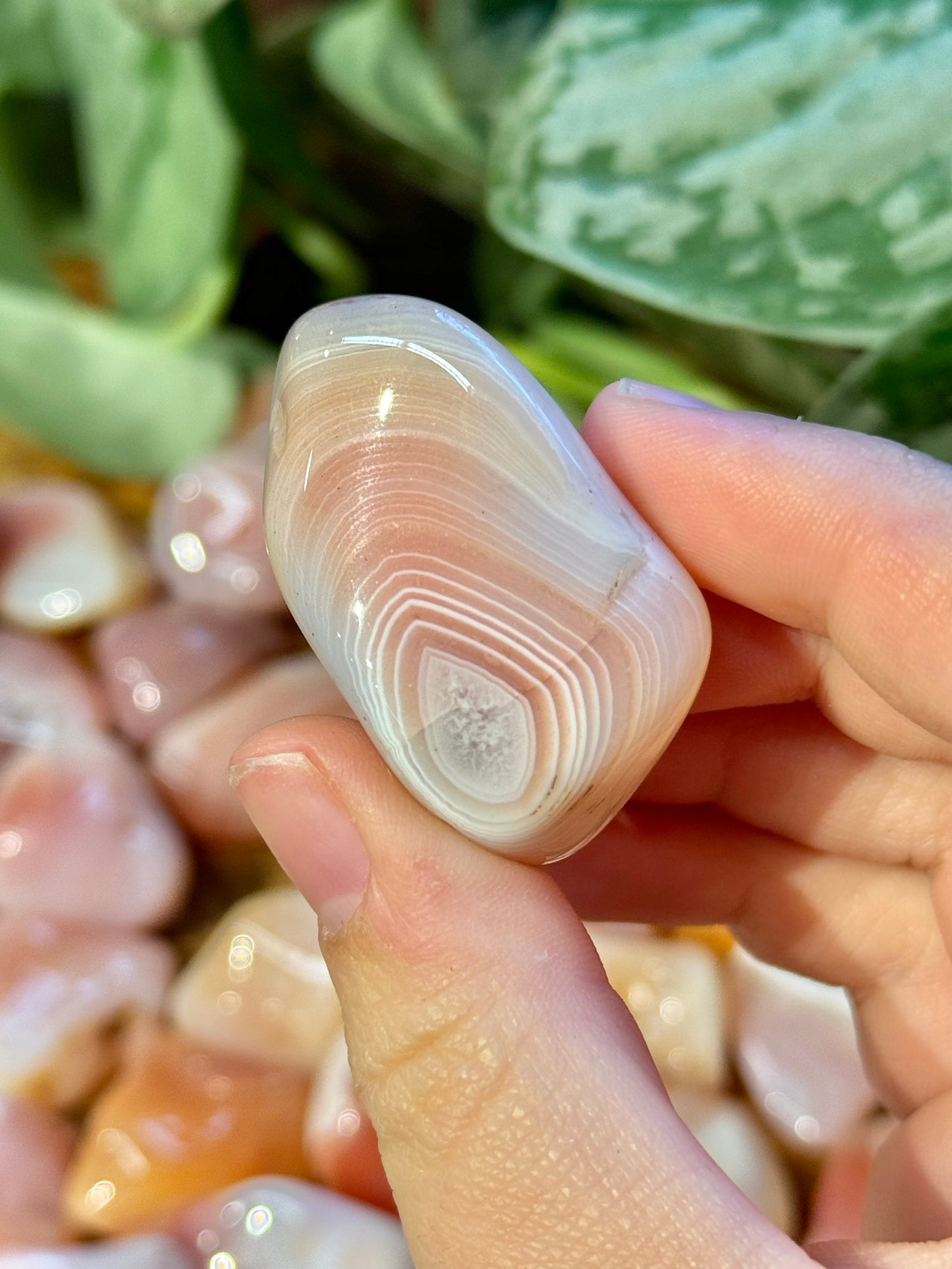 1 stunning apricot agate tumble