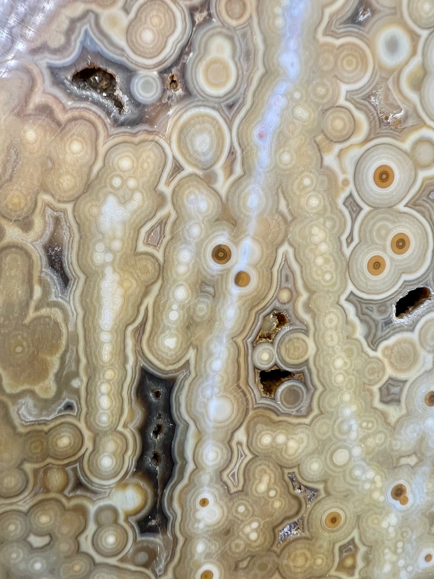 AAA yellow druzy orbicular ocean jasper slab from Madagascar