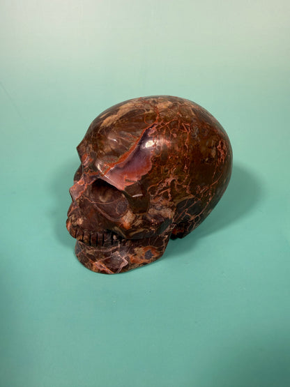Amazing Money agate skull