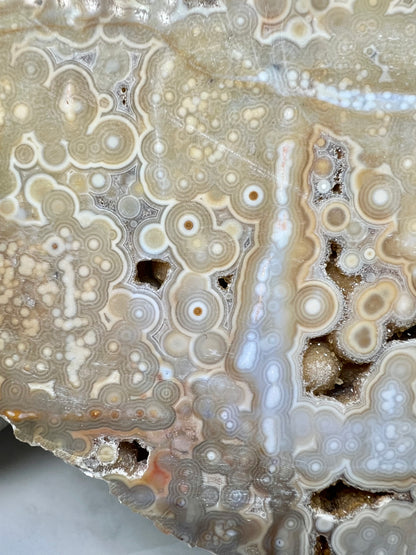 AAA yellow druzy orbicular ocean jasper slab from Madagascar