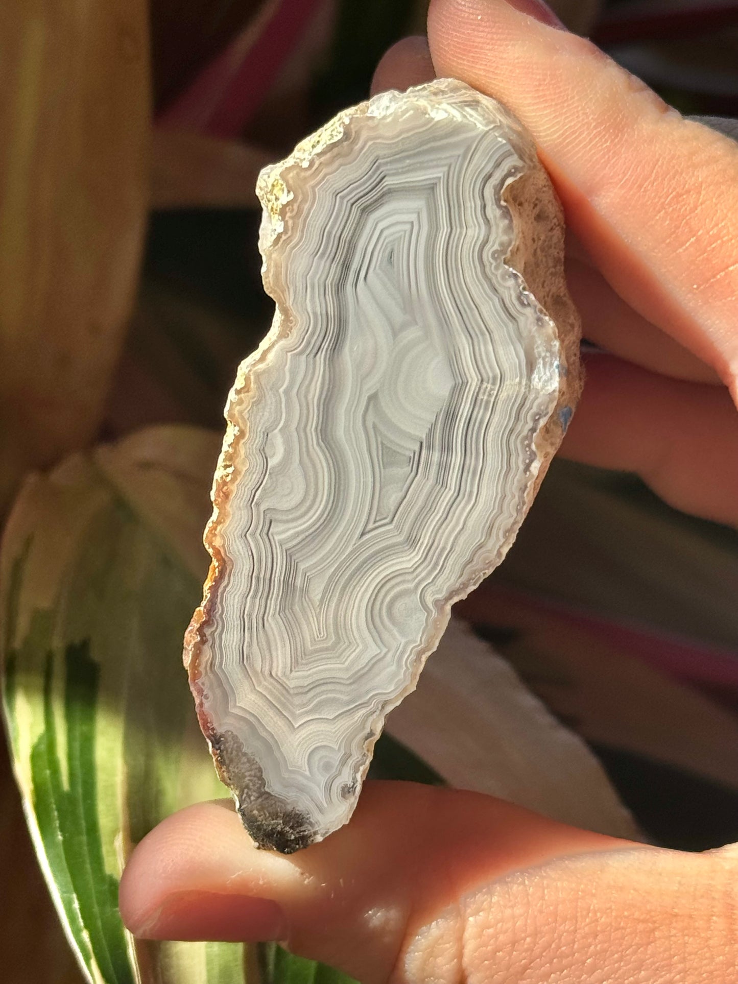 Angelic white laguna agate M