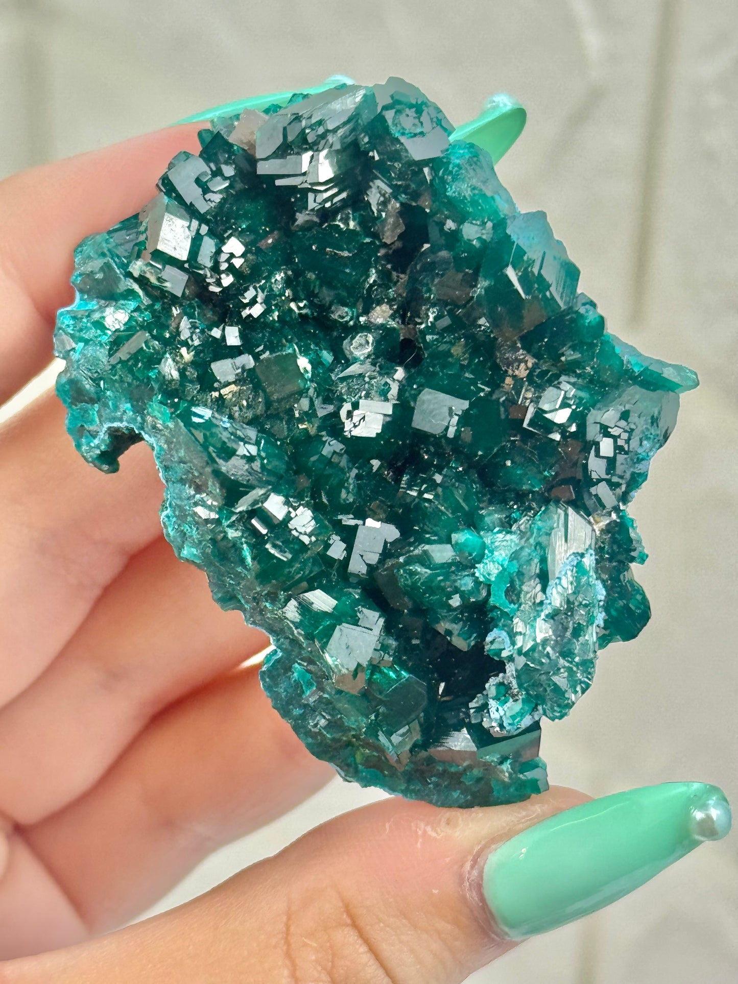 You pick! Insane high-grade dioptase specimens from DRC