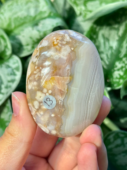 Flower agate palm stone from Madagascar