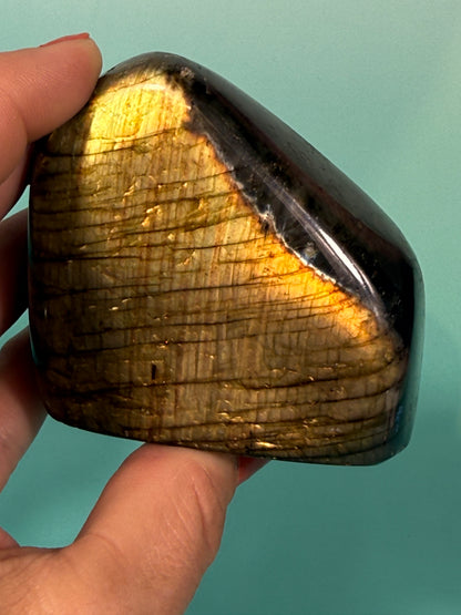 Tangerine flash labradorite Freeform M