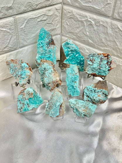 You pick! Aurichalcite specimens from Nevada