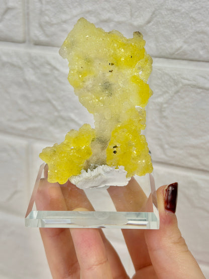 You pick! Yellow Brucite from Pakistan