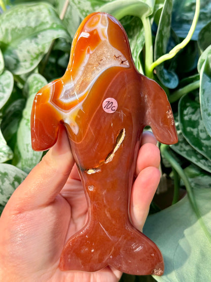 XL Heated carnelian whale C