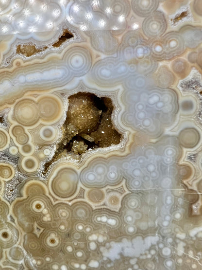 AAA yellow druzy orbicular ocean jasper slab from Madagascar